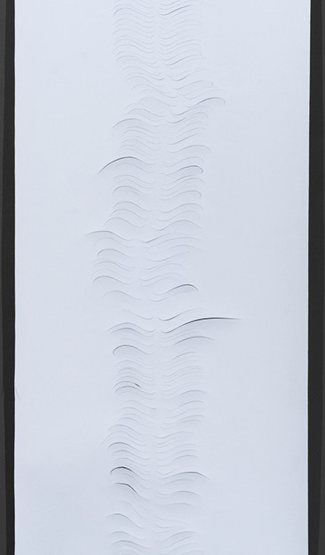 spineI©Brandt