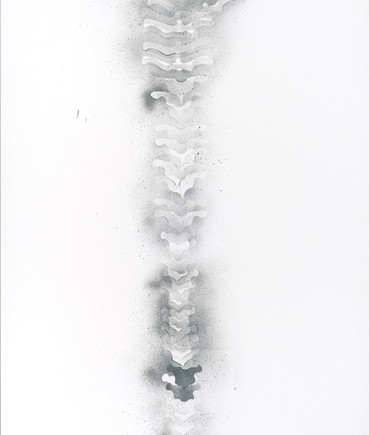 spineII-lt©Brandt