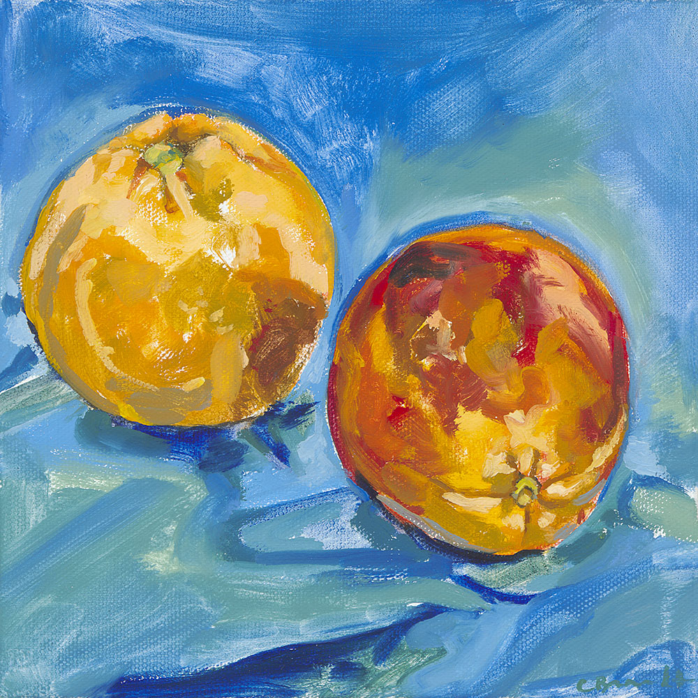 Oil painting of blood oranges by Claire Brandt